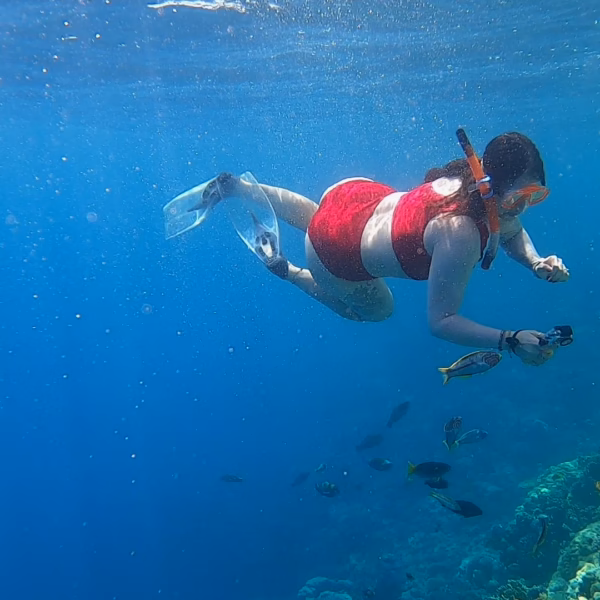 private snorkeling El Gouna woman snorkeling Red Sea coral reef