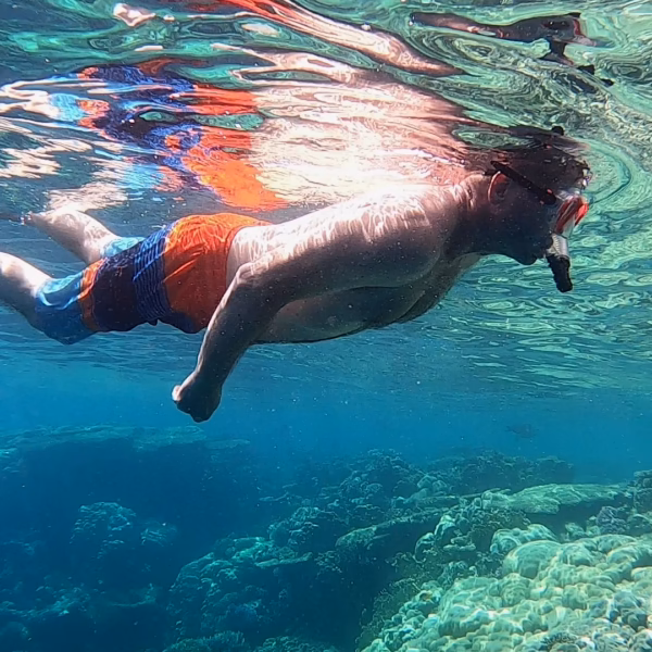 Red Sea snorkeling Hurghada man swimming over coral reef