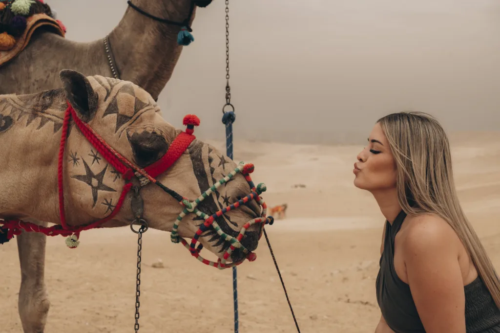 posing with a decorated camel near the Giza Pyramids