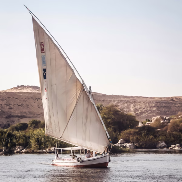 Felucca Tour