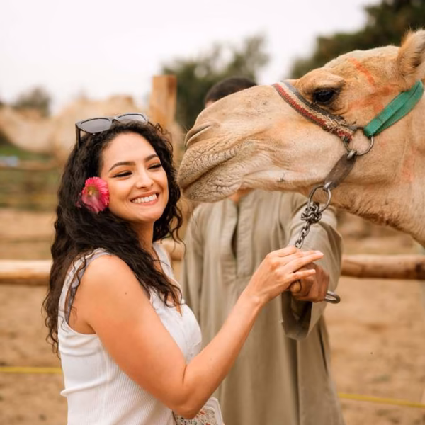 2 Days Tour From Luxor to Cairo & Alexandria camel experience Egypt cultural tour