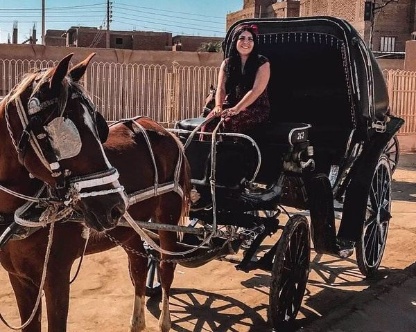 Luxor Horse and Carraige