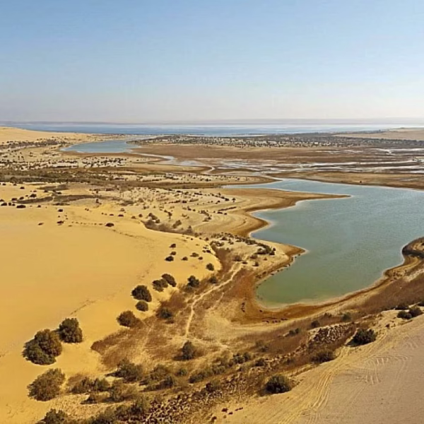 Fayoum Oasis Lake Qarun