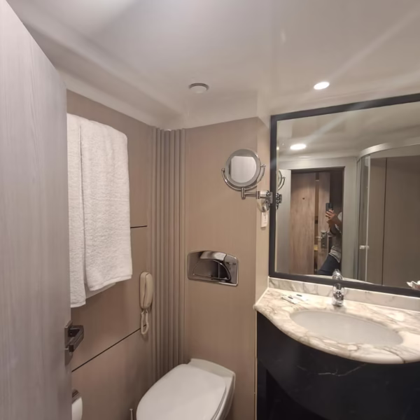 Modern ensuite on a luxury Nile cruise featuring a marble vanity, sleek toilet, and high-end finishes for travelers.