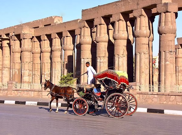 tour by horse