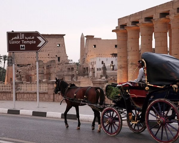 luxor-city-tour