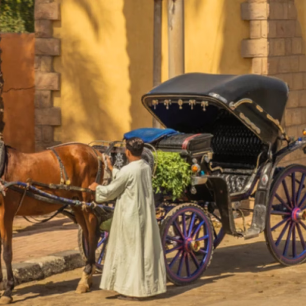 luxor-city-tour-by-horse