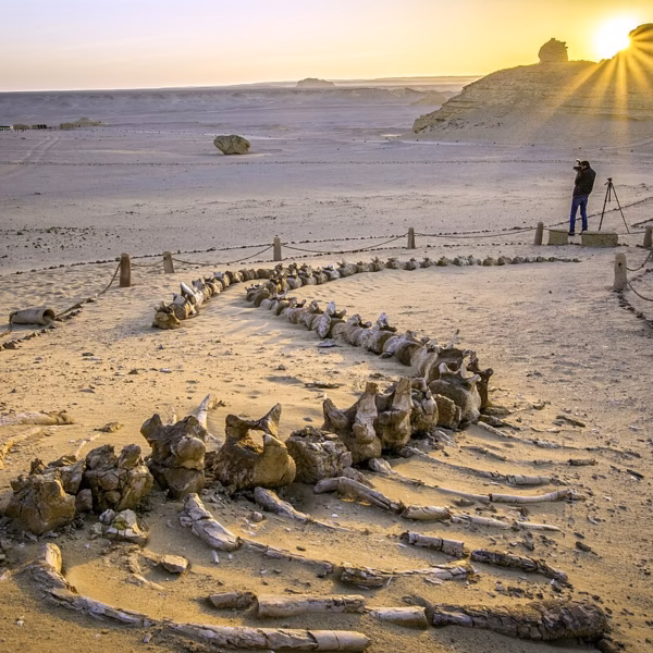 El Fayoum Travel Guide: Best Things to Do-Tours & Hidden Gems-Book Egypt Travel