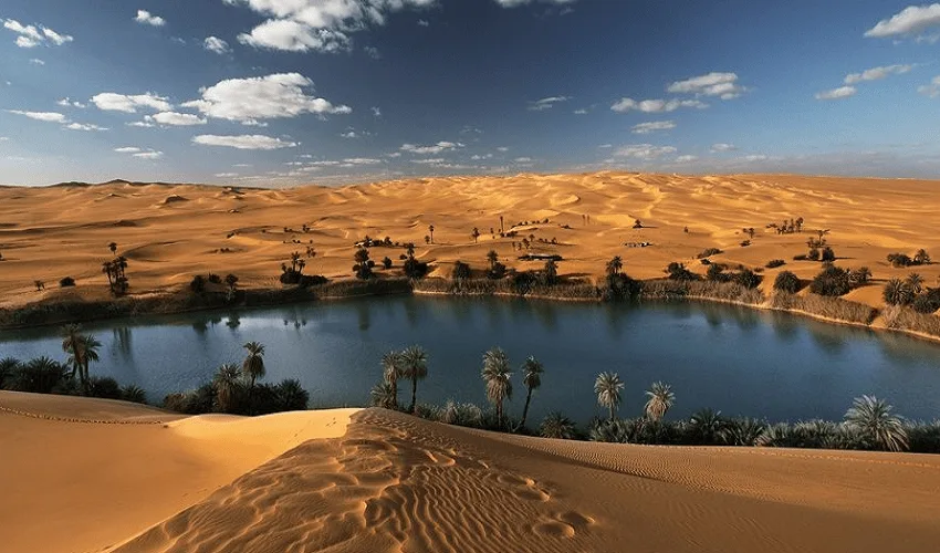 Desert lake surrounded by golden sand dunes and palm trees in El Fayoum, Egypt.